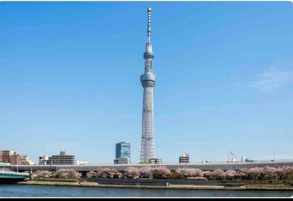 Momo Palace Tokyo Bilik gambar
